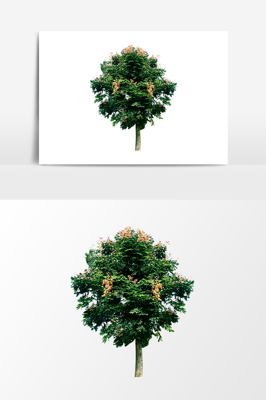 包图网提供精美好看的绿色树木设计元素素材免费下载,本次作品主题是