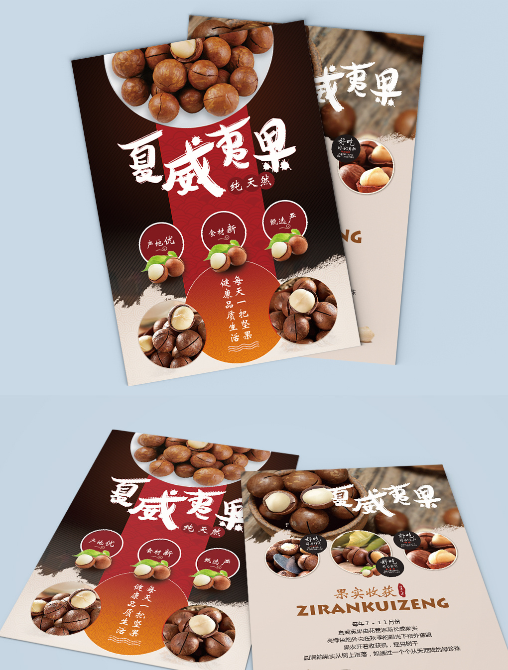 休闲零食夏威夷果活动促销宣传单页