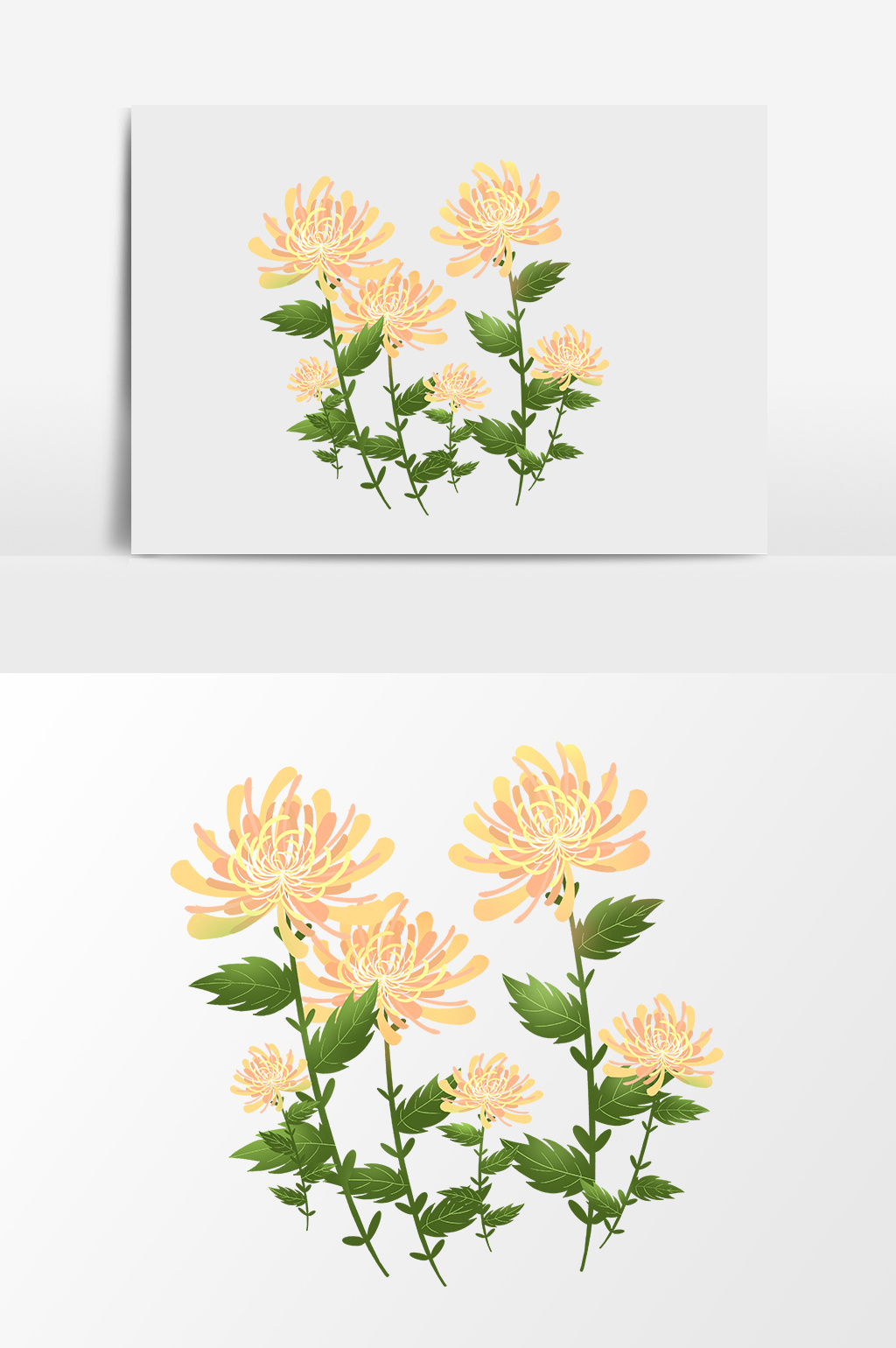 漫画手绘菊花花卉素材模板免费下载_3345像素psd图片设计素材_【包