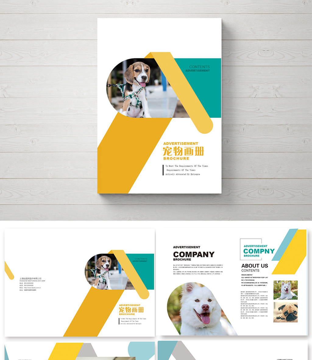 靓丽整套宠物画册设计排版