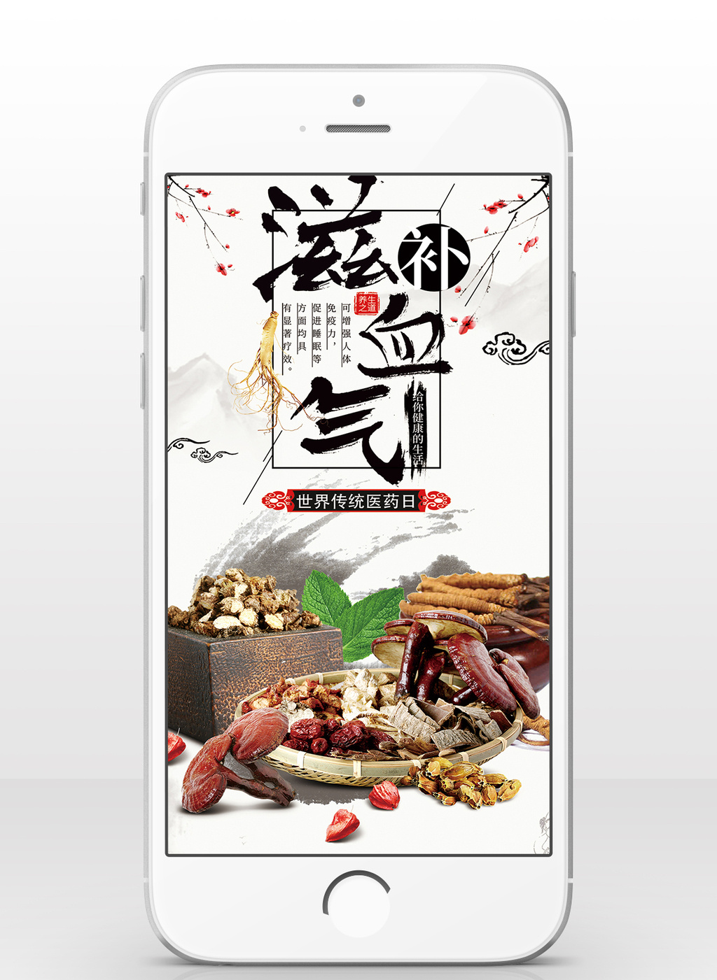 世界传统医药日滋补血气手机海报图