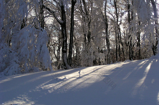 雪和阳<strong>光</strong>（保加利亚）