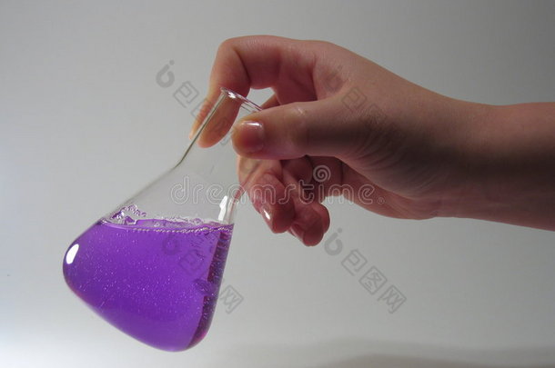 紫锥瓶ii