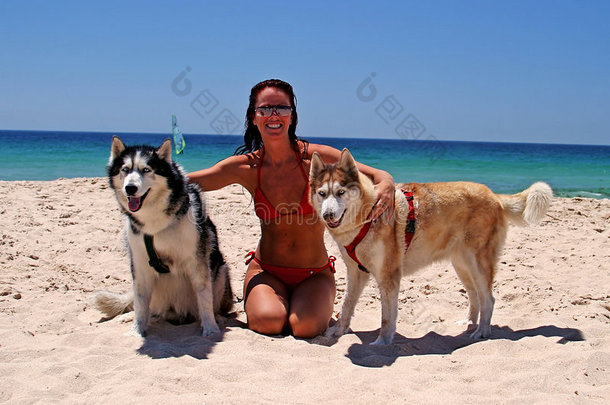 阳光明媚的海滩上，白沙蓝天，还有两只漂亮的蓝眼睛狗