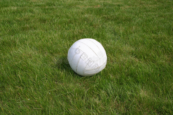 草地上的球。