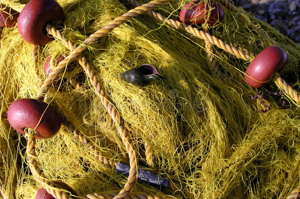 鱼网和贝壳