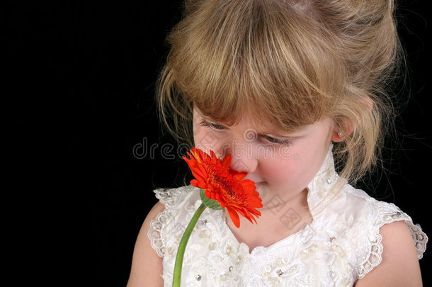 美丽的四岁女孩在黑色背景下闻到花香