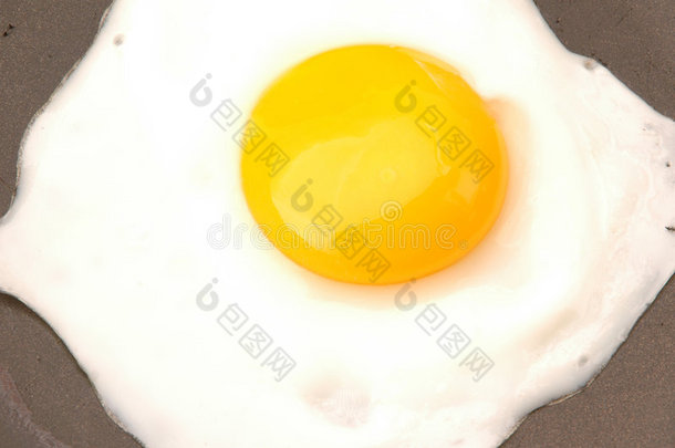 鸡蛋521
