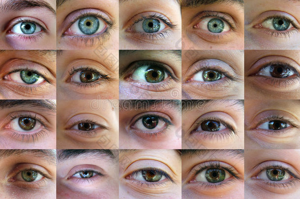 眼睛，眼睛-很多眼睛