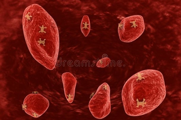 防病毒动脉细菌生物学血