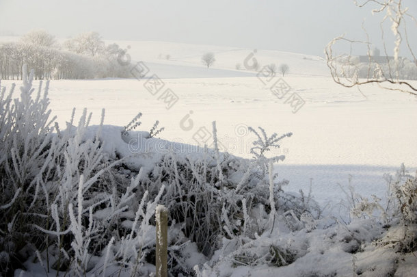 冬季雪景雾霾