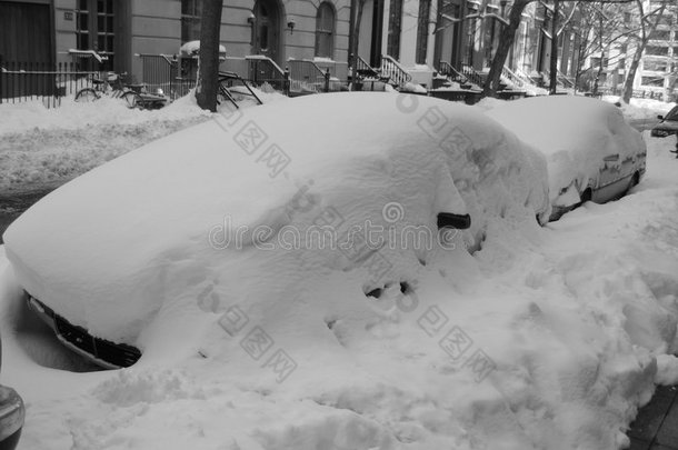 布鲁克林的冬季雪