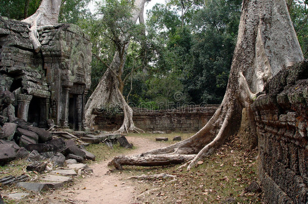 ta prohm-模板结束树