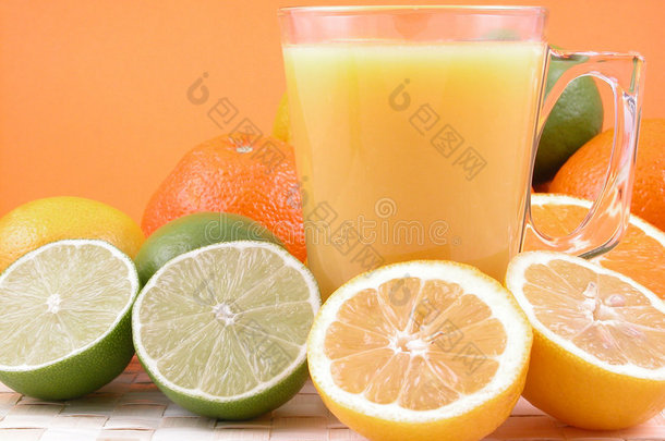 柑橘压榨机