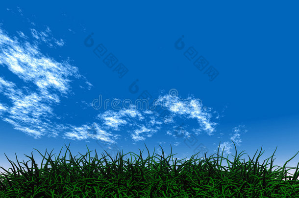 蓝天下的青草