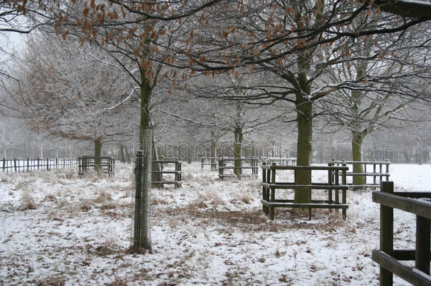 英国诺丁汉郡冬季雪景。