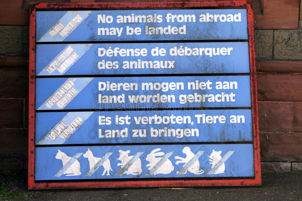 动物禁令猫黑猩猩狗