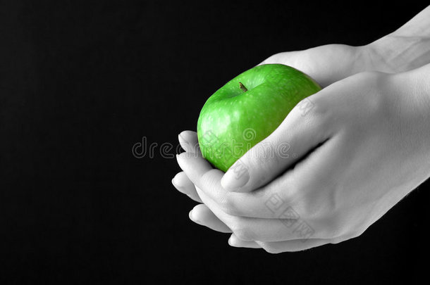 手中的苹果