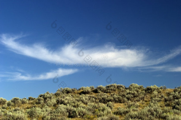 蒙大拿州大天空国家上空的白云。