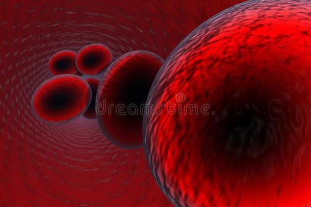 血细胞2