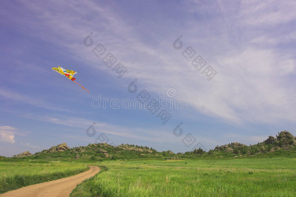 夏天多云的天空中放风筝