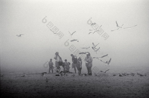 一家人在雾气弥漫的海滩上和<strong>海鸥</strong>在一起