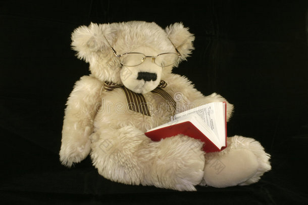 泰迪熊阅读