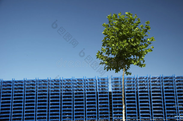 蓝色调色板-蓝天-绿树