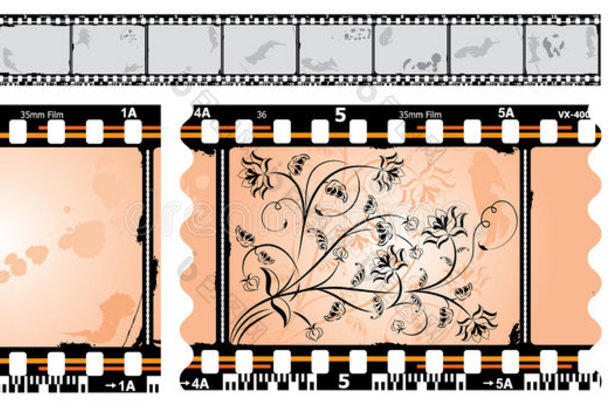 照相胶片、胶片、矢量