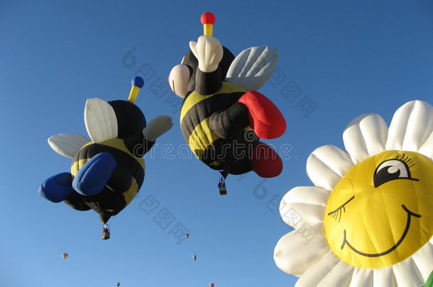 气球蜜蜂