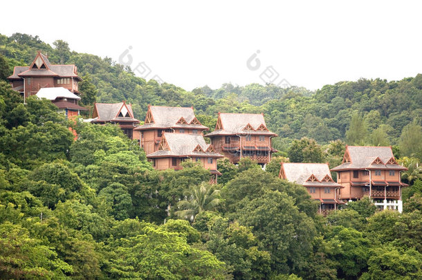 热带雨林中的小屋