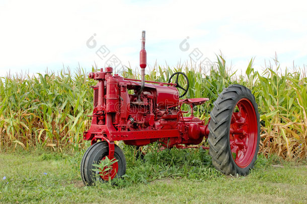 古董红色拖拉机和玉米