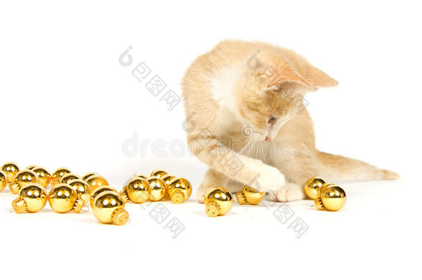 黄色小猫玩圣诞装饰品