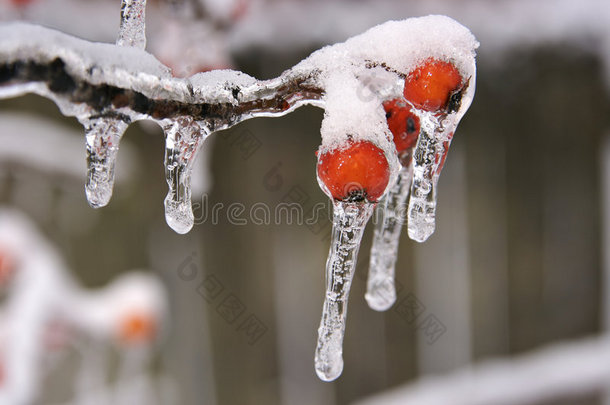 冰<strong>雪</strong>风暴