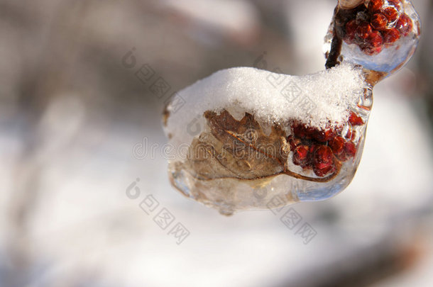 冰雪风暴