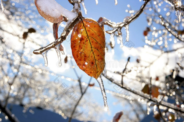 冰雪风暴