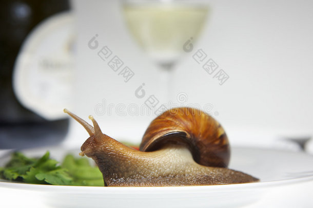 盘子里的蜗牛