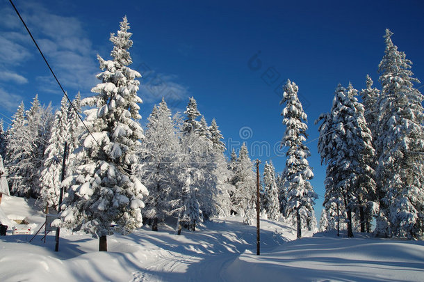 雪路