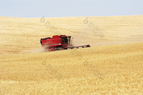 农业综合企业农业地区秋天大麦