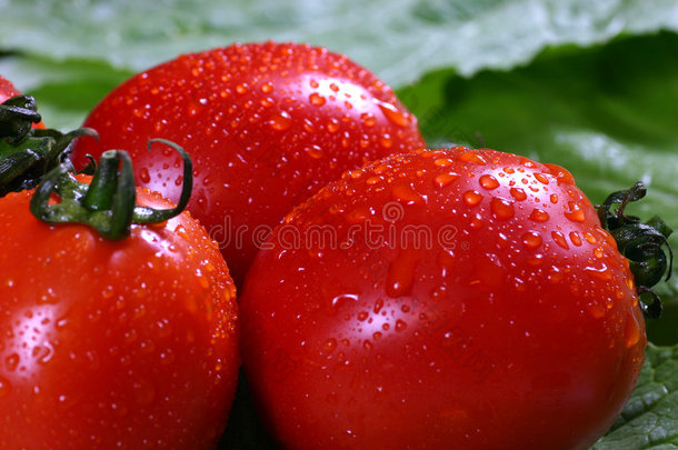 红熟番茄