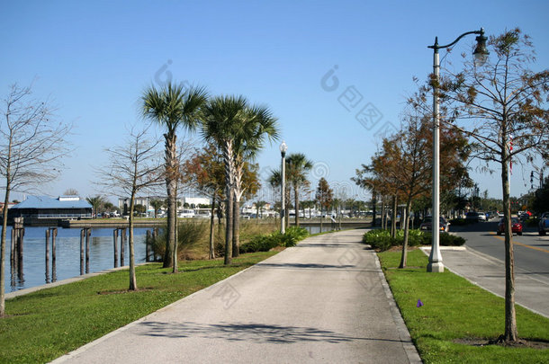 树皮蓝色船植物区系佛罗里达州