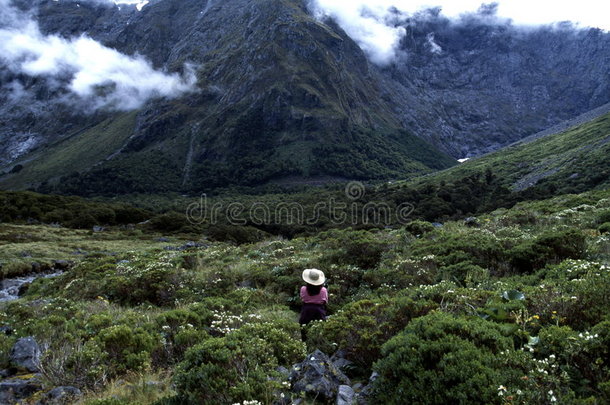 山景