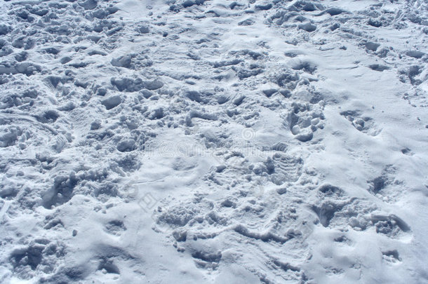 雪地里有许多脚印