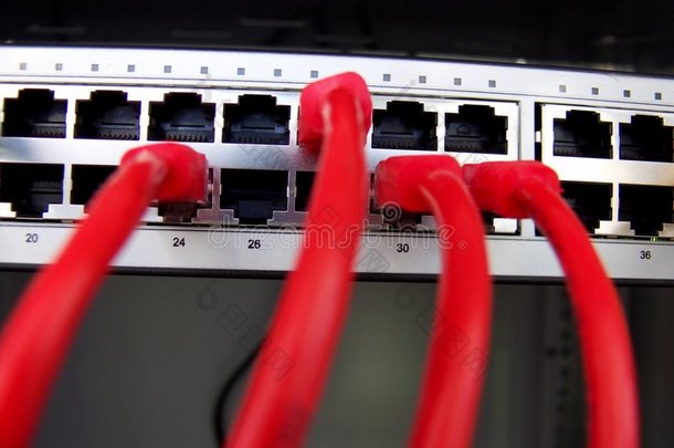 网络接线板和电缆