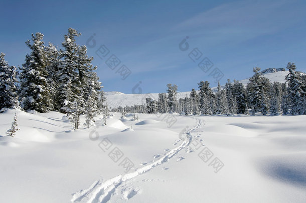 山中的冬季森林，滑雪道