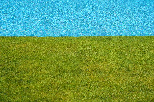 绿色草坪旁的蓝色游泳池
