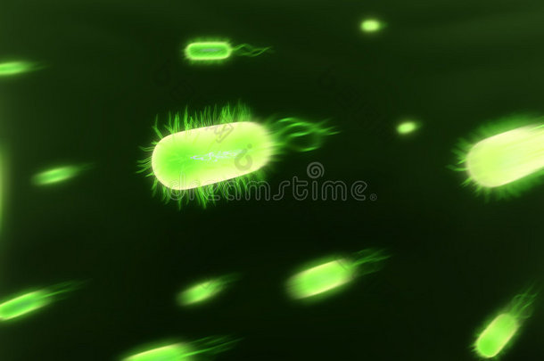 流式细菌
