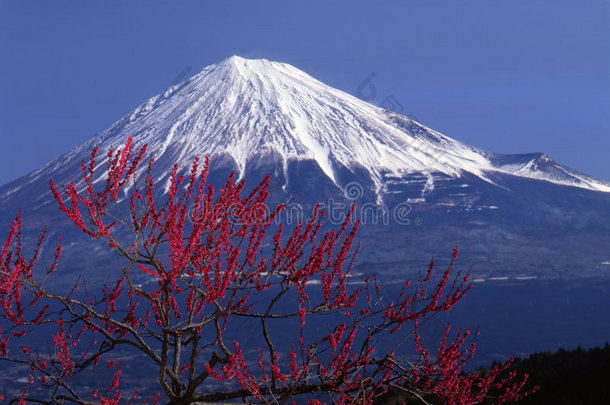 富士<strong>十五号</strong>山