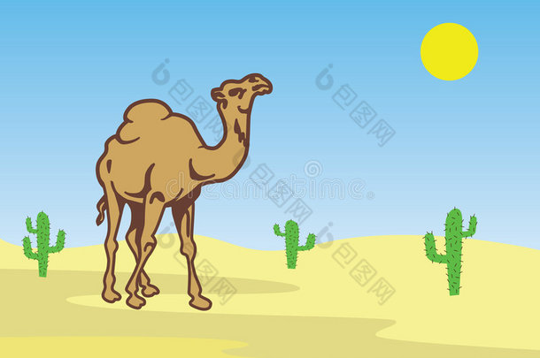 沙漠<strong>中</strong>仙人<strong>掌中</strong>的骆驼