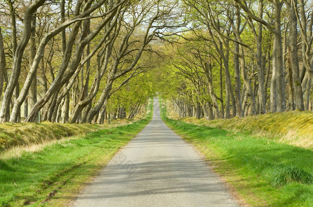 <strong>车道</strong>、道路、<strong>车道</strong>、停<strong>车道</strong>